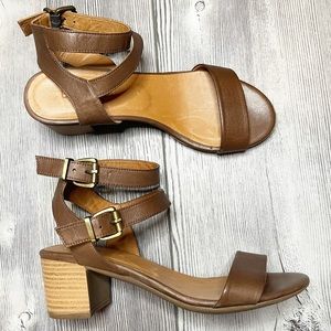 Ethem Brown Leather Buckle Heel Sandals